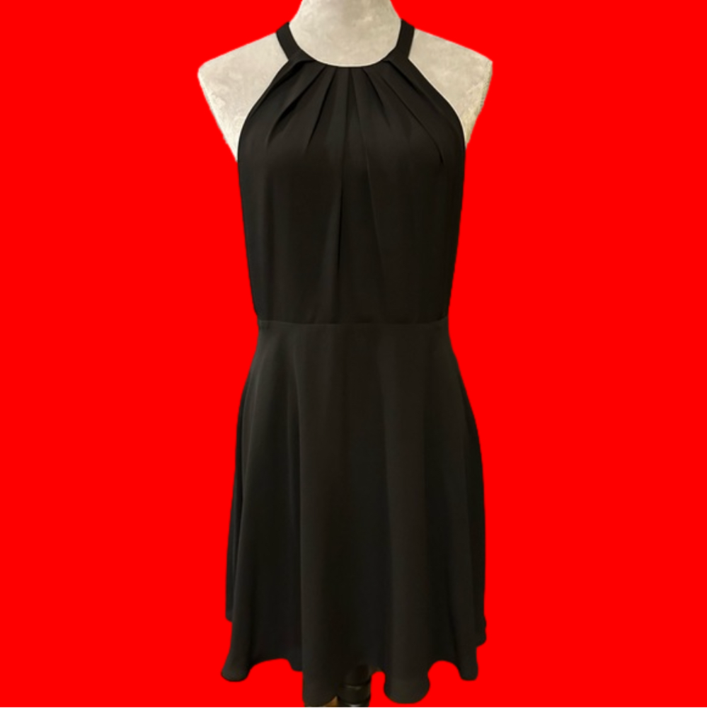 Express Size 10 Dress-black-NWT